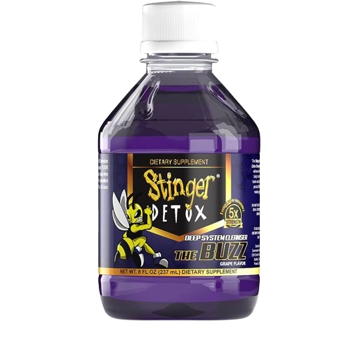 Stinger Detox The Buzz 5x Drink